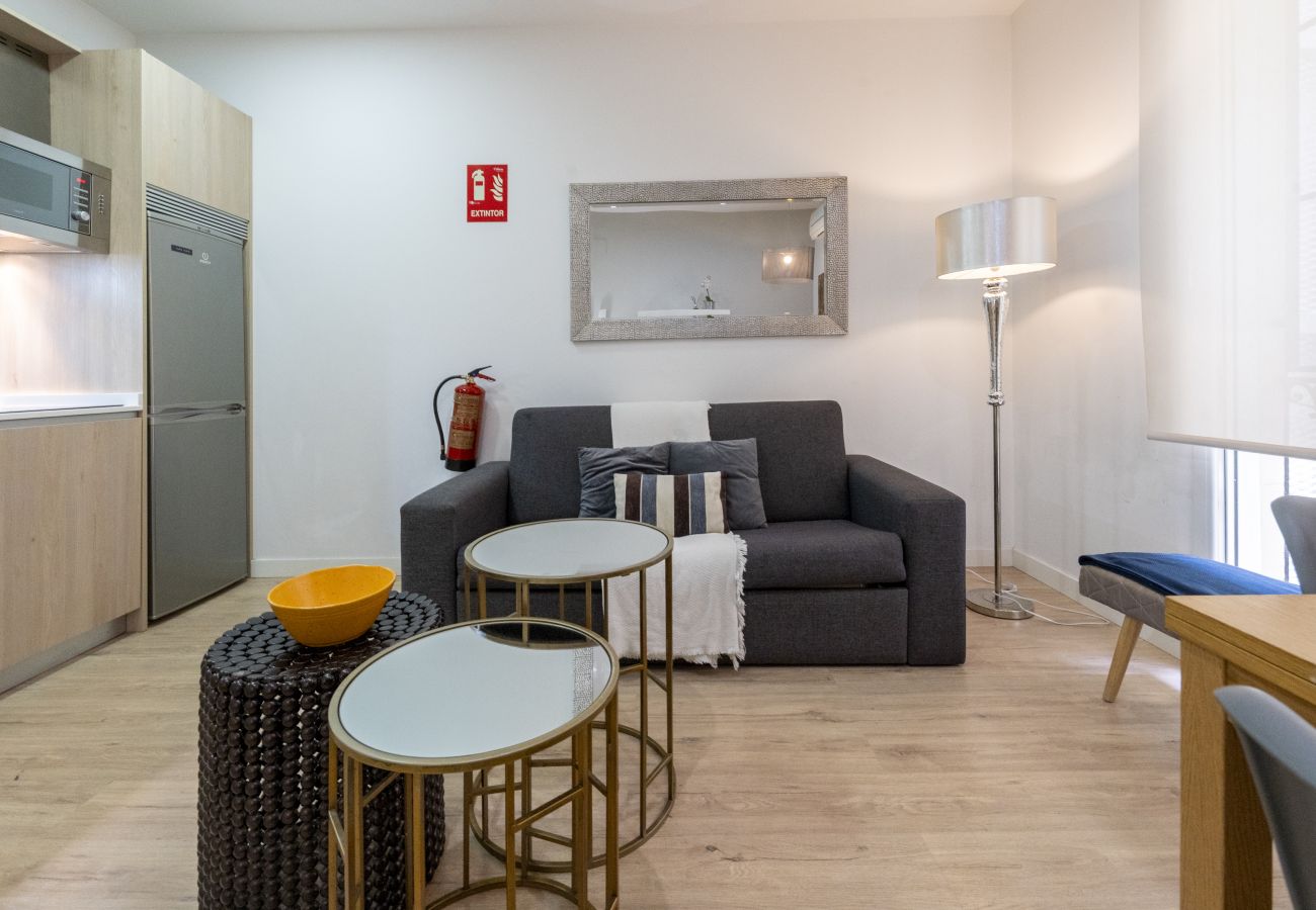 Apartamento em Madrid - Modern Madrid Downtown Puerta Del Sol M (PRE3B) Apartamento em Madrid - Modern Madrid Downtown Puerta Del Sol M (PRE3B)