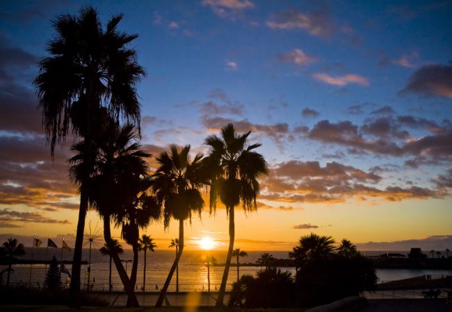 Apartamento em Las Palmas de Gran Canaria - Blue Horizon Las Canteras Apartamento em Las Palmas de Gran Canaria - Blue Horizon Las Canteras