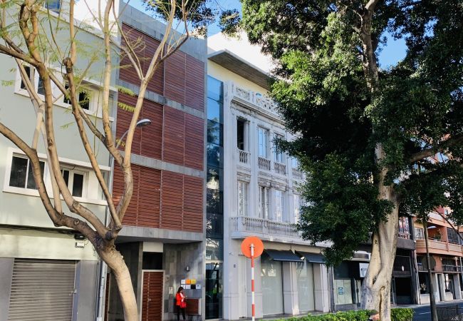 Apartamento em Santa Cruz de Tenerife - HomeForGuest Design Attic Apartment, FREE parking Apartamento em Santa Cruz de Tenerife - HomeForGuest Design Attic Apartment, FREE parking