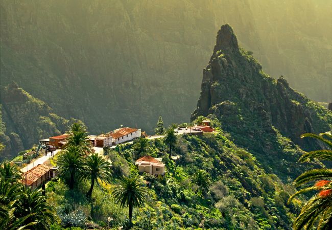 Apartamento em Santa Cruz de Tenerife - HomeForGuest Design Attic Apartment, FREE parking Apartamento em Santa Cruz de Tenerife - HomeForGuest Design Attic Apartment, FREE parking