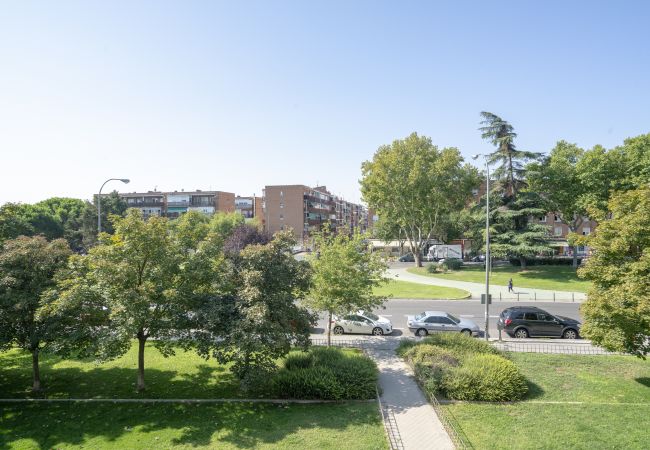 Apartamento em Madrid - FREE WiFi Apartment Vallecas-Albufera-Pedro Laborde M (SDM21) Apartamento em Madrid - FREE WiFi Apartment Vallecas-Albufera-Pedro Laborde M (SDM21)