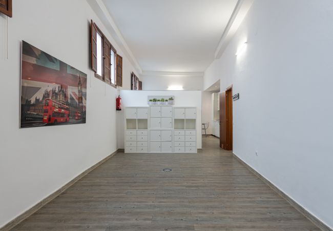 Casa em Arucas - HomeForGuest Acogedor Loft con Parking junto a la Catedral de Arucas