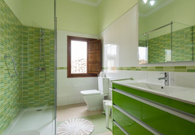 Apartamento em Arucas - HomeForGuest NUEVO Dúplex con Azotea junto a la Catedral de Arucas Apartamento em Arucas - HomeForGuest NUEVO Dúplex con Azotea junto a la Catedral de Arucas