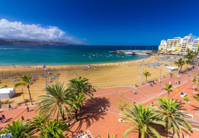 Apartamento em Las Palmas de Gran Canaria - HomeForGuest Apartamento cerca de las Canteras con Parking GRATIS Apartamento em Las Palmas de Gran Canaria - HomeForGuest Apartamento cerca de las Canteras con Parking GRATIS