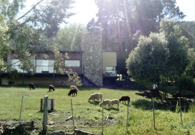 Casa em El Bolsón - BOL - LA ESCONDIDA Casa em El Bolsón - BOL - LA ESCONDIDA