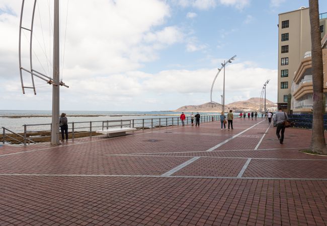 Apartamento em Las Palmas de Gran Canaria - HomeForGuest Acogedor apartamento junto a Las Canteras Apartamento em Las Palmas de Gran Canaria - HomeForGuest Acogedor apartamento junto a Las Canteras