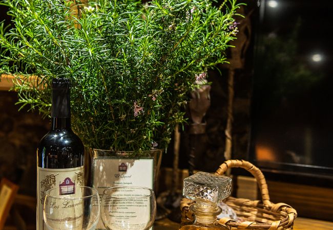 Apartamento em Tacoronte - HomeForGuest Acogedor apartamento rural El Romero con amplios jardines Apartamento em Tacoronte - HomeForGuest Acogedor apartamento rural El Romero con amplios jardines