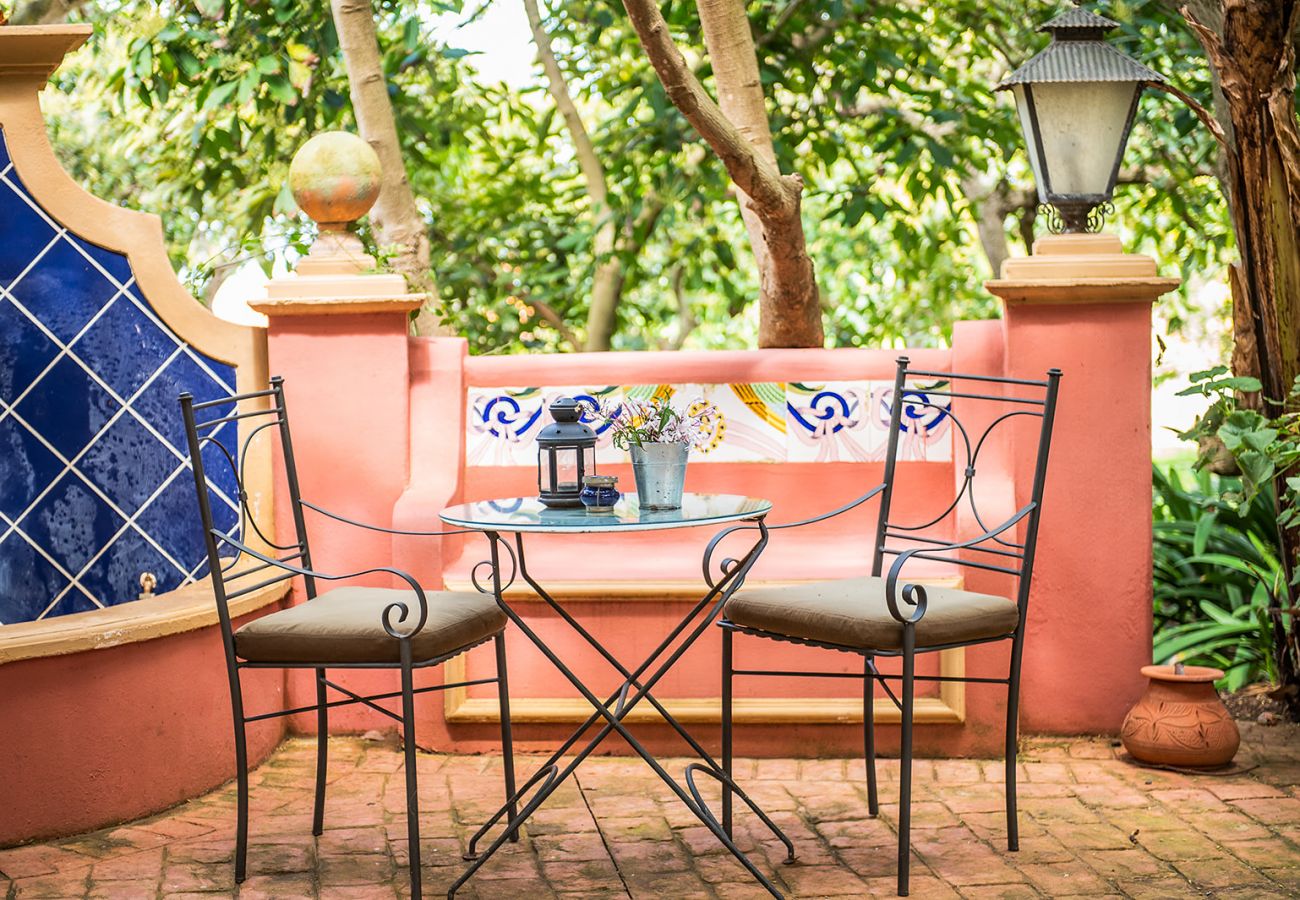 Apartamento em Tacoronte - HomeForGuest Acogedor apartamento rural El Romero con amplios jardines Apartamento em Tacoronte - HomeForGuest Acogedor apartamento rural El Romero con amplios jardines
