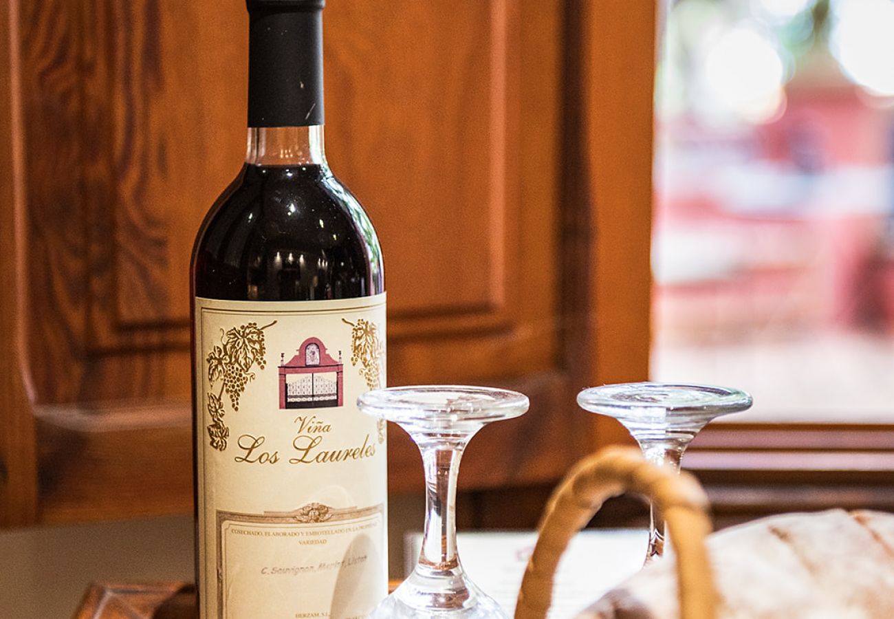 Apartamento em Tacoronte - HomeForGuest Acogedor apartamento rural La Lavanda rodeado de naturaleza Apartamento em Tacoronte - HomeForGuest Acogedor apartamento rural La Lavanda rodeado de naturaleza