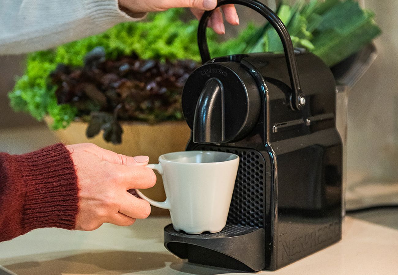 Apartamento em Tacoronte - HomeForGuest Acogedor apartamento rural La Lavanda rodeado de naturaleza Apartamento em Tacoronte - HomeForGuest Acogedor apartamento rural La Lavanda rodeado de naturaleza