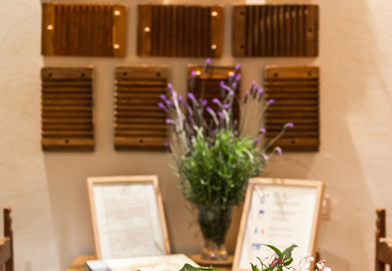 Apartamento em Tacoronte - HomeForGuest Acogedor apartamento rural La Lavanda rodeado de naturaleza Apartamento em Tacoronte - HomeForGuest Acogedor apartamento rural La Lavanda rodeado de naturaleza