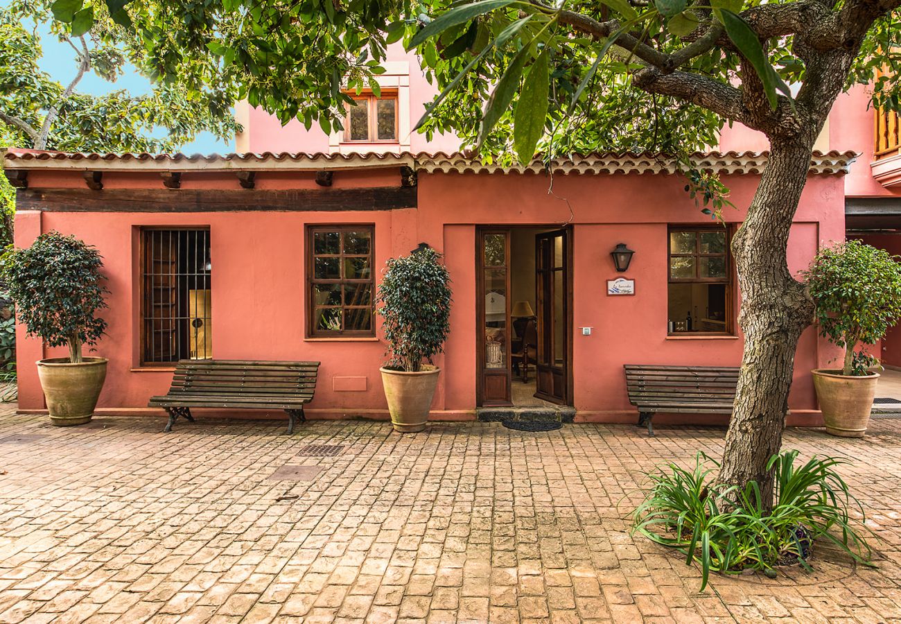 Apartamento em Tacoronte - HomeForGuest Acogedor apartamento rural La Lavanda rodeado de naturaleza Apartamento em Tacoronte - HomeForGuest Acogedor apartamento rural La Lavanda rodeado de naturaleza
