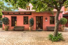 Apartamento em Tacoronte - HomeForGuest Acogedor apartamento rural La Lavanda rodeado de naturaleza