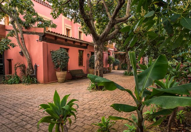 Casa de Campo em Tacoronte - HomeForGuest Casa Rural El Laurel con terraza y amplios jardines Casa de Campo em Tacoronte - HomeForGuest Casa Rural El Laurel con terraza y amplios jardines