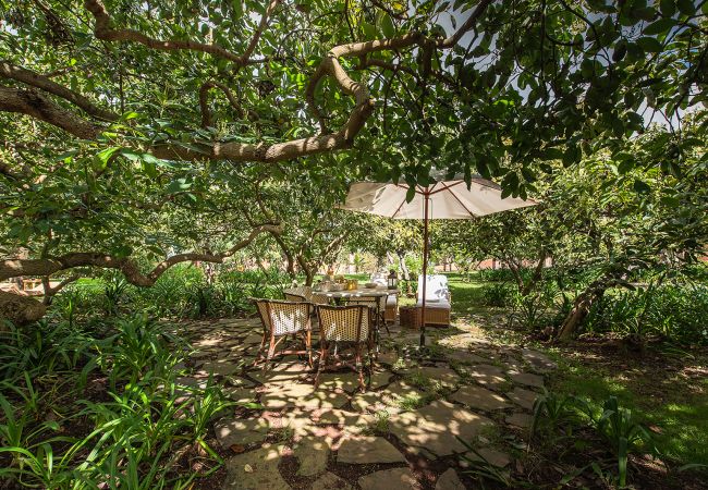 Casa de Campo em Tacoronte - HomeForGuest Casa Rural El Laurel con terraza y amplios jardines Casa de Campo em Tacoronte - HomeForGuest Casa Rural El Laurel con terraza y amplios jardines