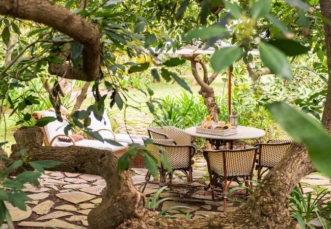 Casa de Campo em Tacoronte - HomeForGuest Casa Rural El Laurel con terraza y amplios jardines Casa de Campo em Tacoronte - HomeForGuest Casa Rural El Laurel con terraza y amplios jardines