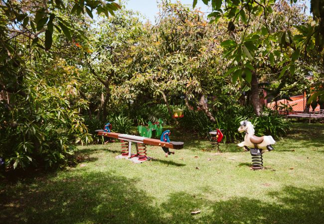Casa de Campo em Tacoronte - HomeForGuest Casa Rural El Laurel con terraza y amplios jardines Casa de Campo em Tacoronte - HomeForGuest Casa Rural El Laurel con terraza y amplios jardines