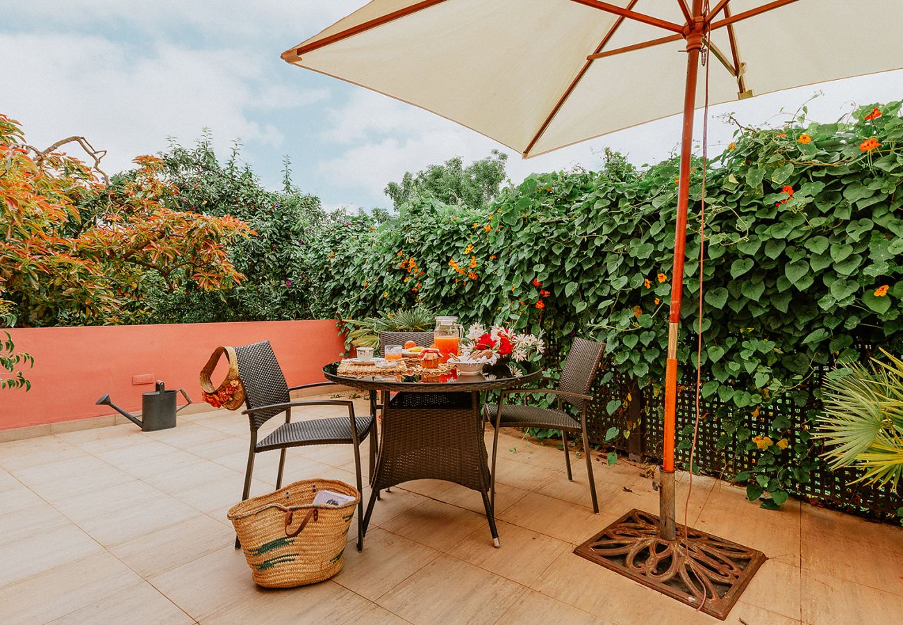 Casa de Campo em Tacoronte - HomeForGuest Casa Rural El Laurel con terraza y amplios jardines Casa de Campo em Tacoronte - HomeForGuest Casa Rural El Laurel con terraza y amplios jardines