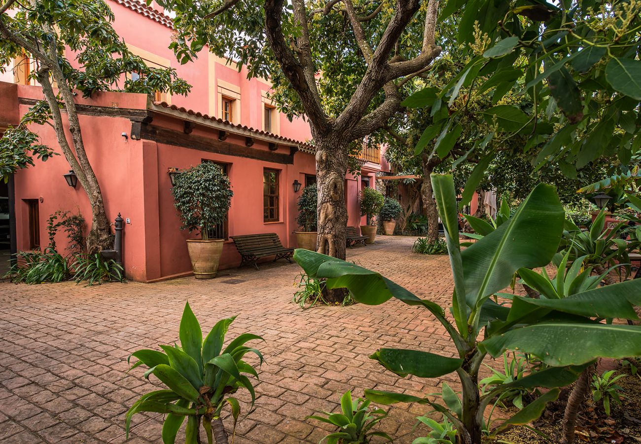 Casa de Campo em Tacoronte - HomeForGuest Casa Rural El Laurel con terraza y amplios jardines Casa de Campo em Tacoronte - HomeForGuest Casa Rural El Laurel con terraza y amplios jardines
