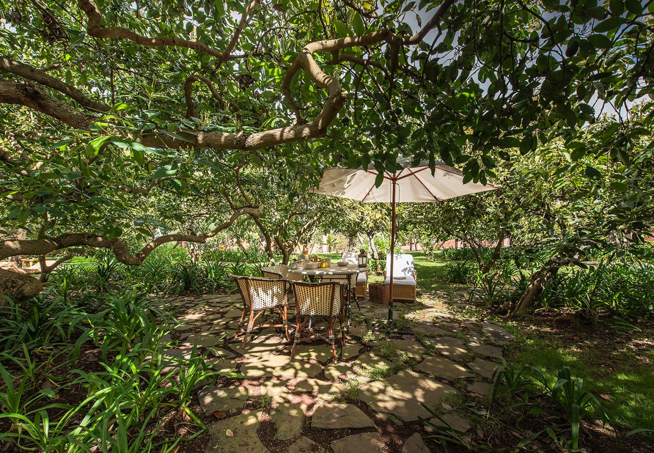 Casa de Campo em Tacoronte - HomeForGuest Casa Rural El Laurel con terraza y amplios jardines Casa de Campo em Tacoronte - HomeForGuest Casa Rural El Laurel con terraza y amplios jardines