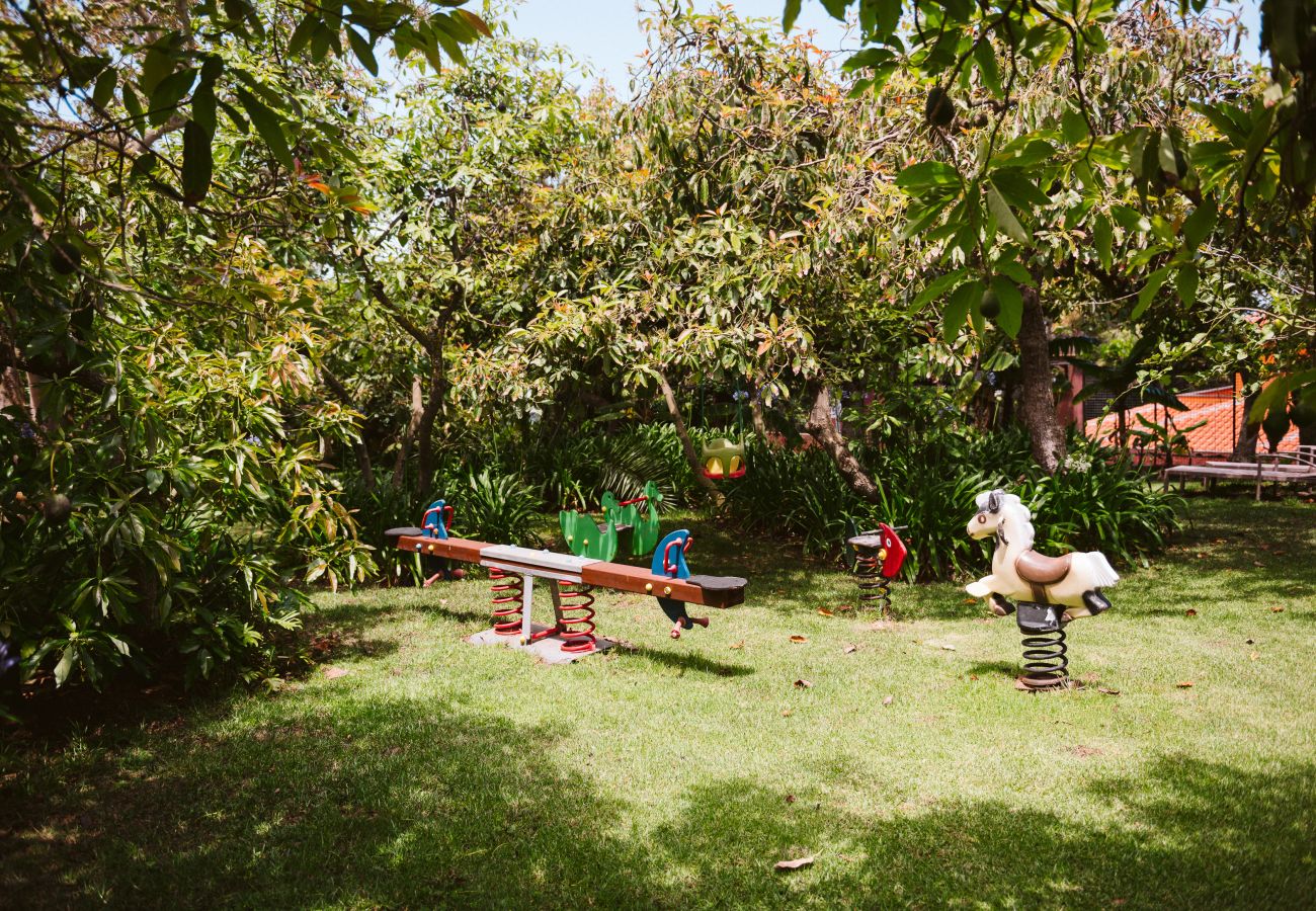 Casa de Campo em Tacoronte - HomeForGuest Casa Rural El Laurel con terraza y amplios jardines Casa de Campo em Tacoronte - HomeForGuest Casa Rural El Laurel con terraza y amplios jardines