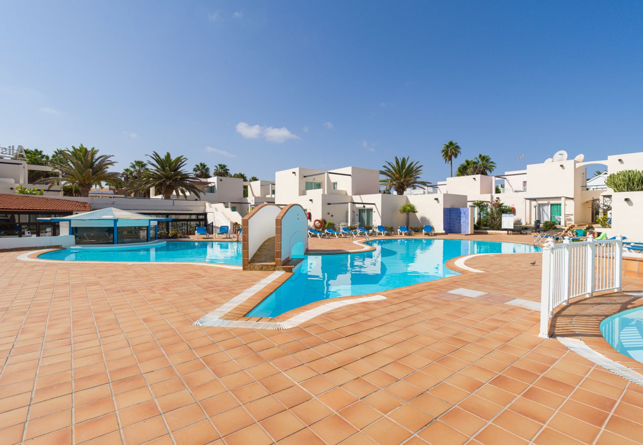 Apartamento em Corralejo - Moderno Apartamento. Piscina y a pie de playa. Corralejo 