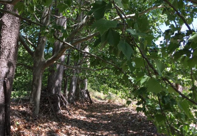 Casa em Nono - Cabaña de campo Casa em Nono - Cabaña de campo