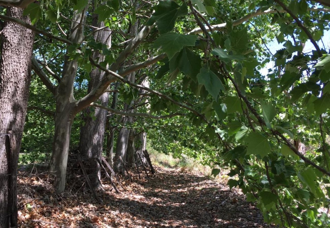 Casa em Nono - Cabaña de campo Casa em Nono - Cabaña de campo