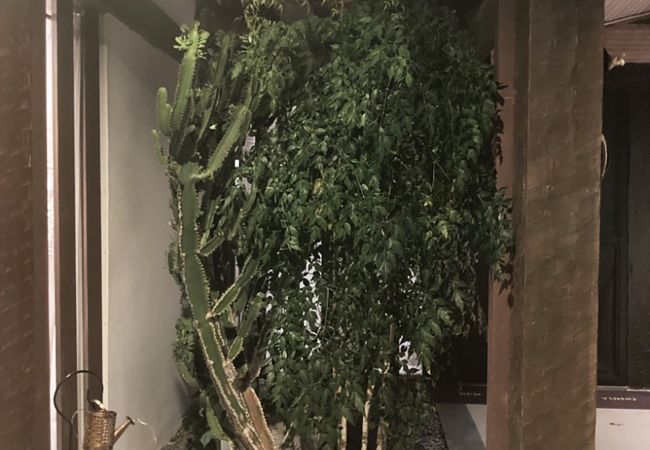 Apartamento em Armação dos Búzios - Incrível loft próximo a praia c pisc em Búzios/RJ  Apartamento em Armação dos Búzios - Incrível loft próximo a praia c pisc em Búzios/RJ