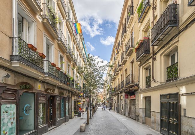 Apartamento em Madrid - Hermoso apartamento  Plaza Zerolo INF1D Apartamento em Madrid - Hermoso apartamento  Plaza Zerolo INF1D