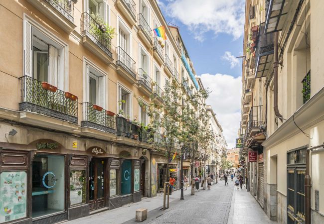 Apartamento em Madrid - Hermoso apartamento  Plaza Zerolo INF2E Apartamento em Madrid - Hermoso apartamento  Plaza Zerolo INF2E