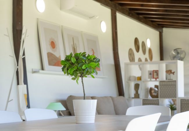 Estúdio em Santa Cruz de Tenerife - Moderno loft recién reformado en Santa Cruz de Tenerife 02 Estúdio em Santa Cruz de Tenerife - Moderno loft recién reformado en Santa Cruz de Tenerife 02