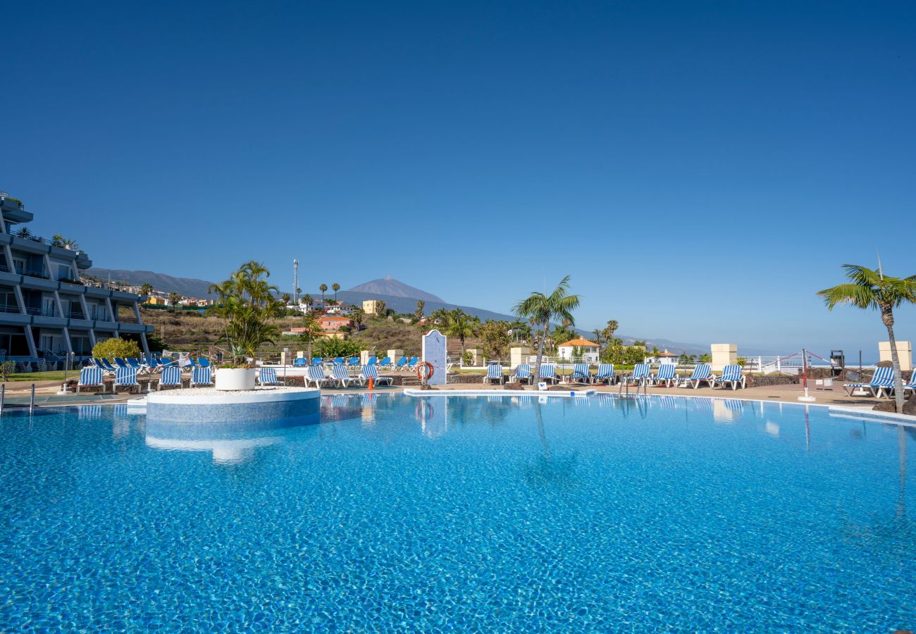 Apartamento em Santa Ursula - Cosy flat with sea views in Santa Ursula Apartamento em Santa Ursula - Cosy flat with sea views in Santa Ursula