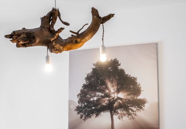 Apartamento em Santa Cruz de Tenerife - Aire: cómodo y luminoso apartamento  Apartamento em Santa Cruz de Tenerife - Aire: cómodo y luminoso apartamento