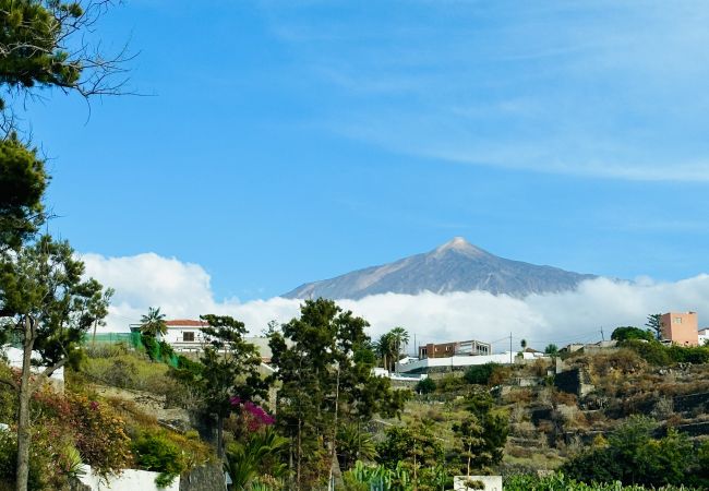 Estúdio em Icod de los Vinos - Blue Monis with Amazing Views Estúdio em Icod de los Vinos - Blue Monis with Amazing Views