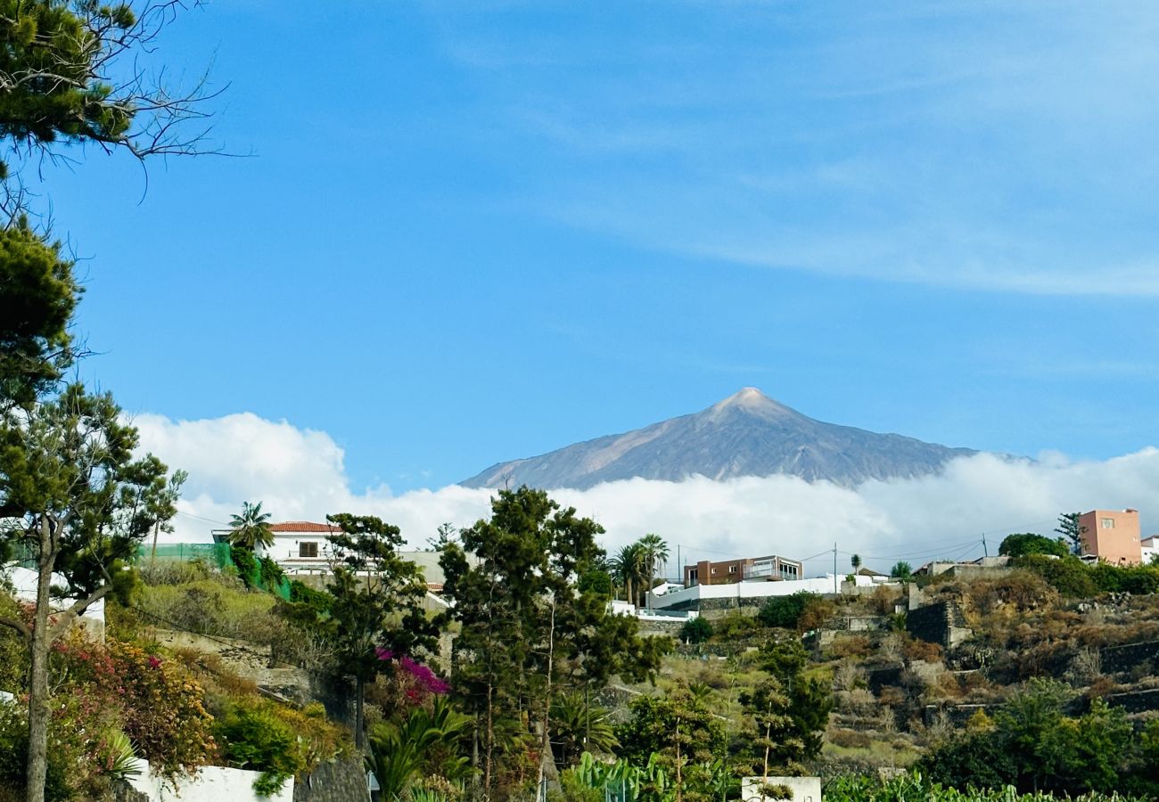 Estúdio em Icod de los Vinos - Blue Monis with Amazing Views Estúdio em Icod de los Vinos - Blue Monis with Amazing Views