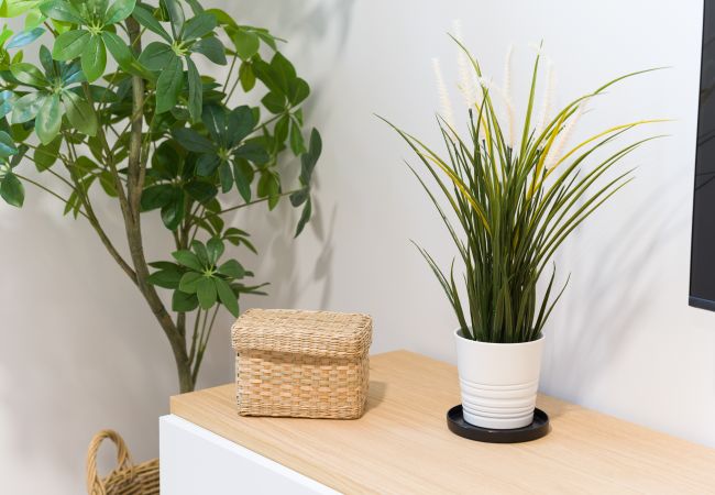 Apartamento em Las Palmas de Gran Canaria - Stay in the Heart of Las Palmas Apartamento em Las Palmas de Gran Canaria - Stay in the Heart of Las Palmas