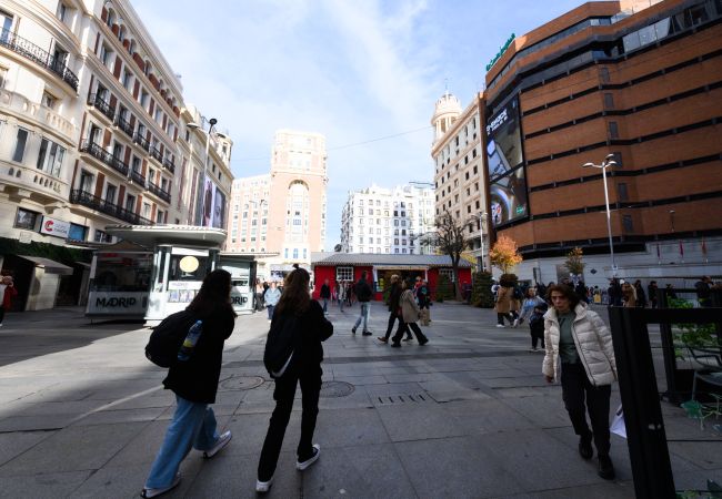 Apartamento em Madrid - Elegante vivienda de 3 habitaciones en el centro de Madrid  Apartamento em Madrid - Elegante vivienda de 3 habitaciones en el centro de Madrid
