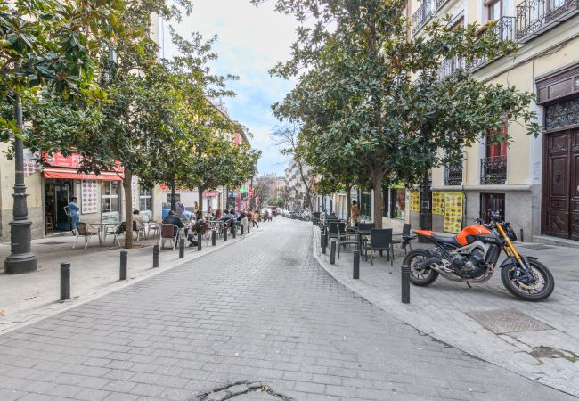 Apartamento em Madrid - Acogedor piso de 1 dormitorio a poco metros del centro de la Ciudad .Temporal Apartamento em Madrid - Acogedor piso de 1 dormitorio a poco metros del centro de la Ciudad .Temporal