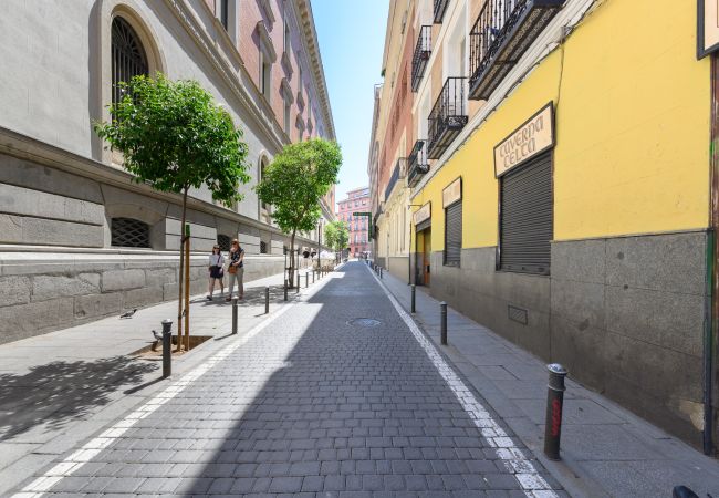 Apartamento em Madrid - Piso tipo loft de 1 dormitorio en el centro de Madrid Apartamento em Madrid - Piso tipo loft de 1 dormitorio en el centro de Madrid