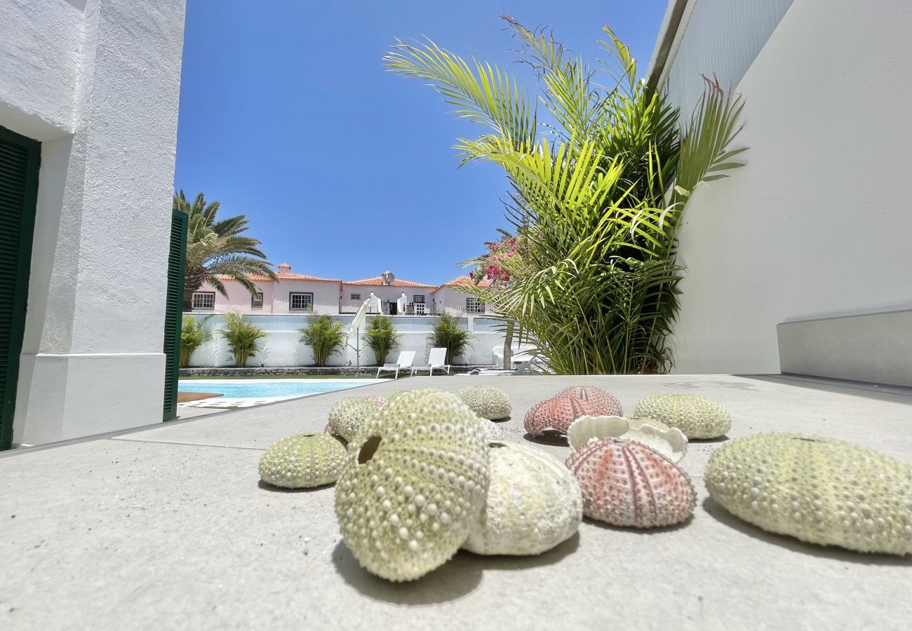 Apartamento em Guía de Isora - Lujoso Apartamento en Guía de Isora con piscina y barbacoa Apartamento em Guía de Isora - Lujoso Apartamento en Guía de Isora con piscina y barbacoa