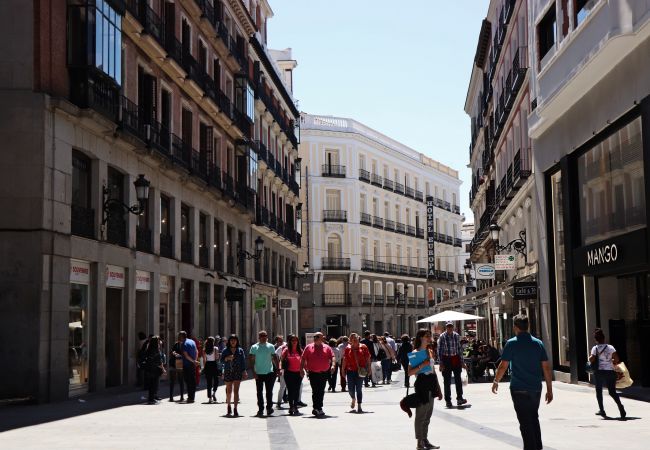 Apartment in Madrid - PENTHOUSE Apartment Madrid Downtown Puerta del Sol M (PRE5B) Apartment in Madrid - PENTHOUSE Apartment Madrid Downtown Puerta del Sol M (PRE5B)