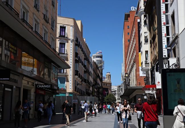 Apartment in Madrid - PENTHOUSE Apartment Madrid Downtown Puerta del Sol M (PRE5B) Apartment in Madrid - PENTHOUSE Apartment Madrid Downtown Puerta del Sol M (PRE5B)