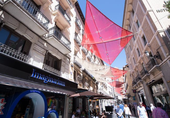 Apartment in Madrid - PENTHOUSE Apartment Madrid Downtown Puerta del Sol M (PRE5B) Apartment in Madrid - PENTHOUSE Apartment Madrid Downtown Puerta del Sol M (PRE5B)