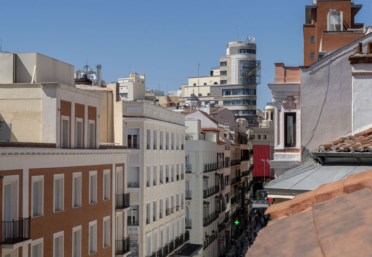 Apartment in Madrid - PENTHOUSE Apartment Madrid Downtown Puerta del Sol M (PRE5B) Apartment in Madrid - PENTHOUSE Apartment Madrid Downtown Puerta del Sol M (PRE5B)