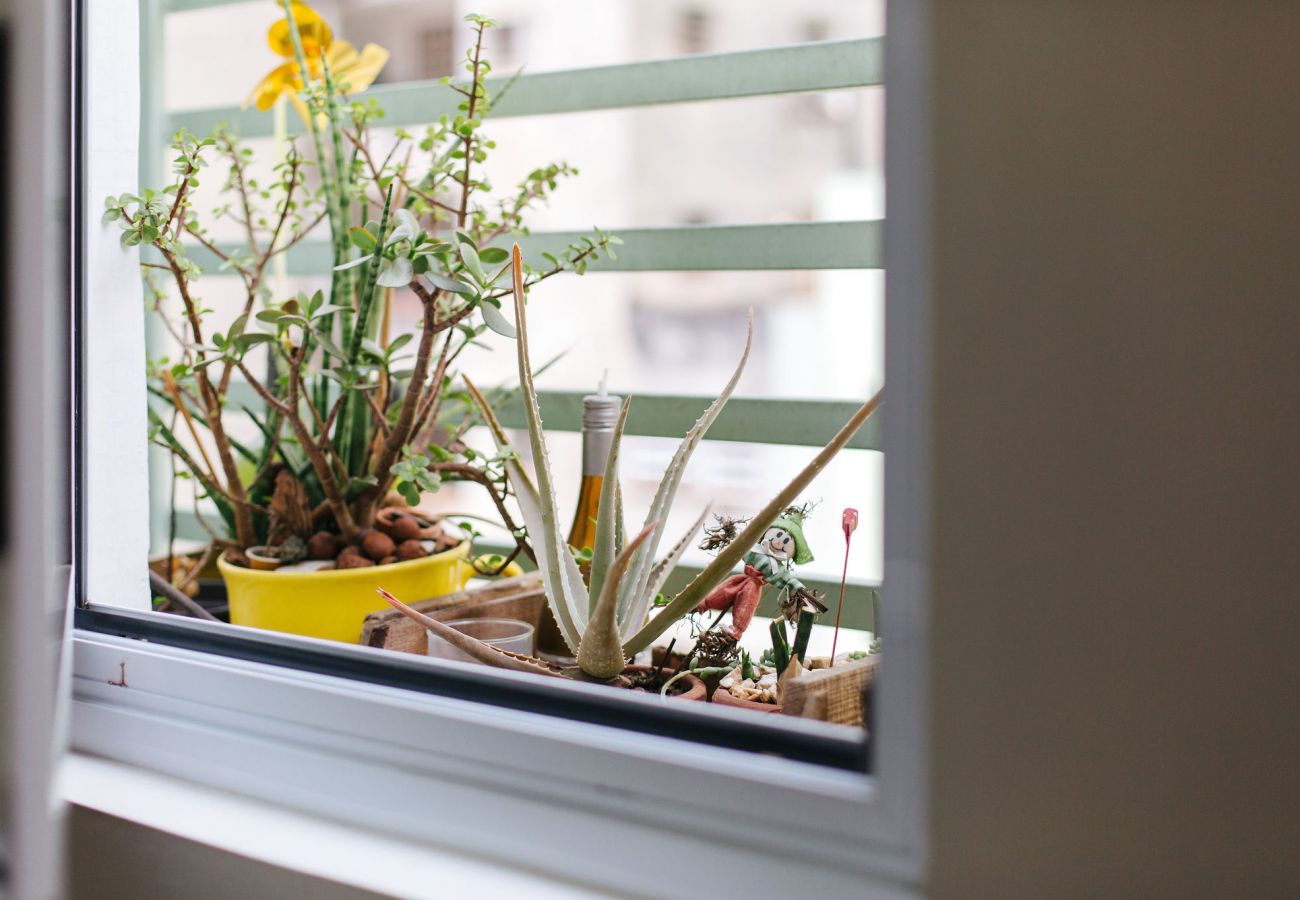 Studio in São Paulo - AV504 - Design Studio in Avanhandava Street Studio in São Paulo - AV504 - Design Studio in Avanhandava Street