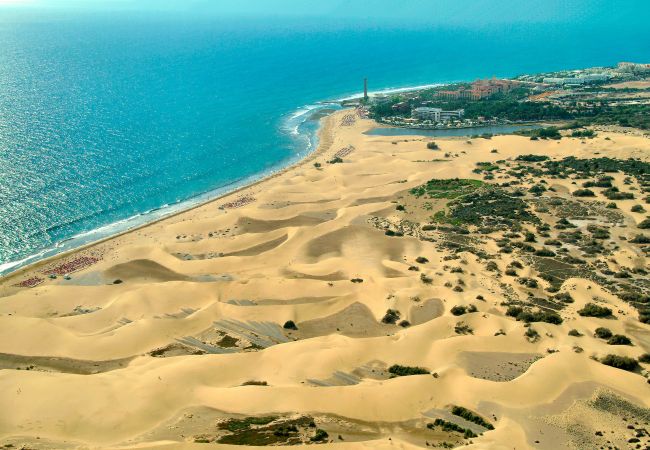 Apartment in Las Palmas de Gran Canaria - Blue Horizon Las Canteras Apartment in Las Palmas de Gran Canaria - Blue Horizon Las Canteras