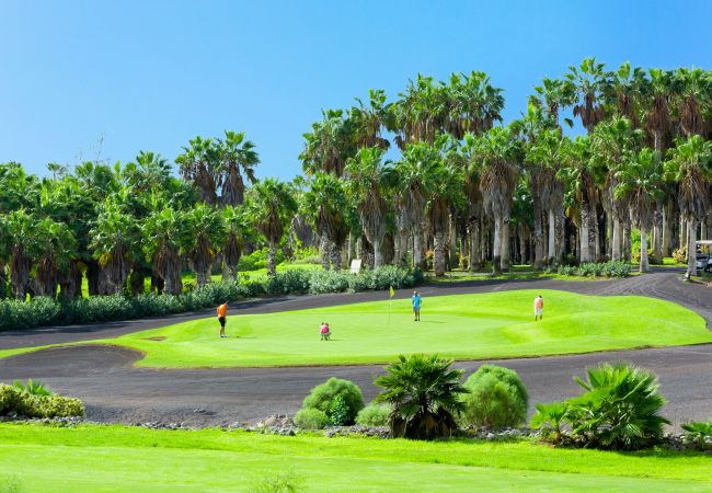 Apartment in Arico - HomeForGuest NextDoor Oasis: ocean front, terrace, natural pool- HomeForGuest Apartment in Arico - HomeForGuest NextDoor Oasis: ocean front, terrace, natural pool- HomeForGuest