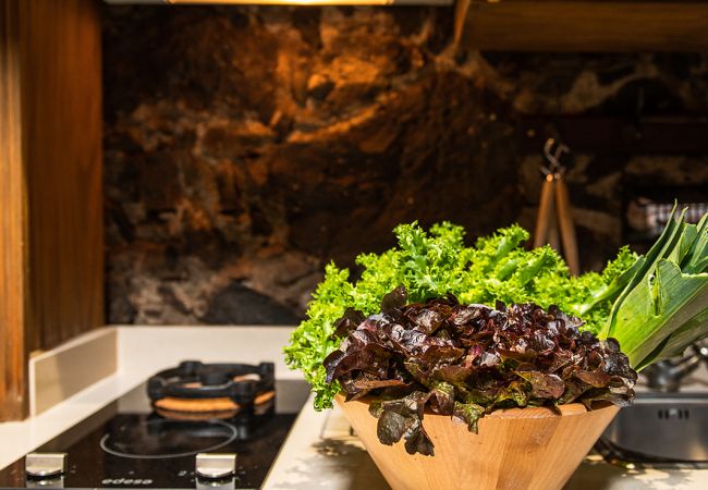 Apartment in Tacoronte - HomeForGuest Cosy rural flat El Romero with large gardens Apartment in Tacoronte - HomeForGuest Cosy rural flat El Romero with large gardens