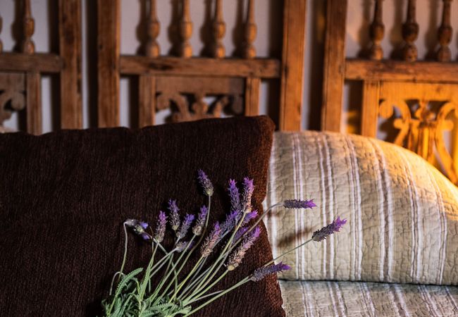 Apartment in Tacoronte - HomeForGuest Cosy rural flat El Romero with large gardens Apartment in Tacoronte - HomeForGuest Cosy rural flat El Romero with large gardens